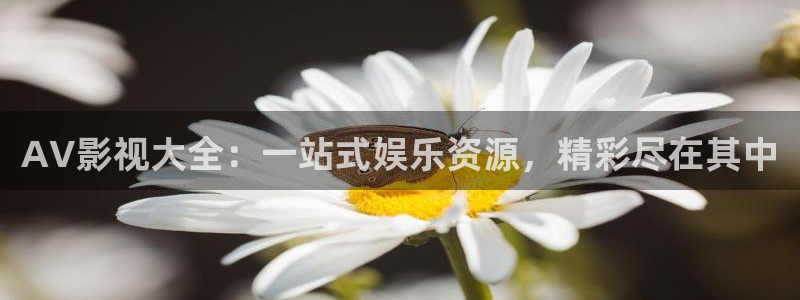 天堂影院字幕：AV影视大全：一站式娱乐资源，精彩尽在其中