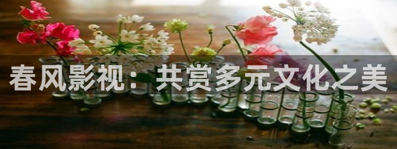 d电影天堂：春风影视：共赏多元文化之美