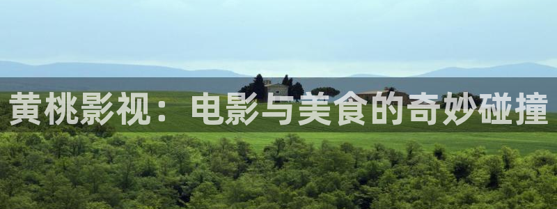 电影天堂理论：黄桃影视：电影与美食的奇妙碰撞