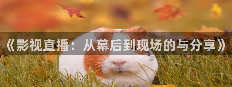 天堂在线电影：《影视直播：从幕后到现场的与分享》